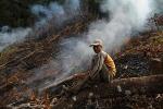 Expansion of Rubber Plantations Drastically Reduces Soil Productivity, Water Availability, and Biodiversity
