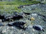 Study Reveals Greenland Ice Sheet's Winds are Responsible for Tundra Soil Erosion