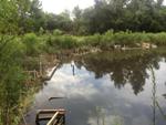 Low-Cost, On-Site Method to Study Impact of Rising Sea Levels on Vital Wetlands