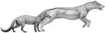 Evolutionary Path of Predators Could be a Direct Consequence of Climate Change