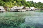 Climate Change Could Cause Profound Changes in Global Distribution of Marine Biodiversity