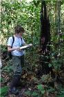 New Technique to Study Carbon-Saving Benefits of Tropical Forest Conservation