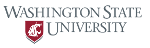 Grant Awarded to WSU Tri-Cities Professor for Studying Biomass-Derived Catalysts for Generating High-Energy Biofuels
