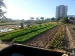 Wastewater to Support Supply of Water, Energy and Fertilizer in Vietnamese City