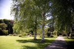 University of Leicester Researchers Show Trees Improve Dispersion of Pollution in Cities
