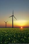 Putting a Price on Greenhouse Gasses Could Curb Emissions, Nurture Growth of Renewable Energy
