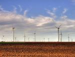 Large Wind Farms with High Density of Installed Capacity Generate Less Electricity than Previously Thought