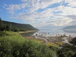Hydroelectric Energy May Put More Methylmercury into Ecosystems than Climate Change, Finds Harvard Research