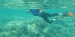 Quest for Alternative Energy Points Towards Ocean Coral Reefs