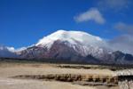 Climate Change Induces Upslope Migration of Tropical Plants in Ecuador