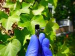 Researchers Break 17-Year-Old Solar Hydrogen Production Efficiency Record