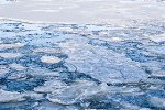 Deep-Sea Fossil Corals Help Understand Earth’s Last Deglaciation