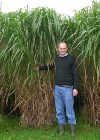 IBERS Scientists Receive £1.8 Million to Upscale Green Fuel Production