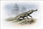 Global Cooling, Fluctuating Sea Levels Caused Significant Decline in Crocodilian Species