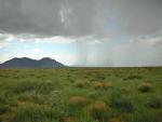 Unpredictable Weather Patterns Lead to Decline in Ecosystem Productivity