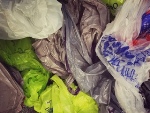 Alternative Biodegradable Materials Could Potentially Replace Plastic Bags in the Future