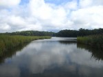 Study Reveals Mercury Methylation Genes are Abundant in Nearly Every Oxygen-Free Environment