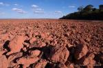 Amazon Would Confront More Hydrological Extremes, Concludes Study