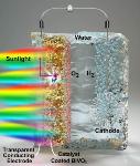 Researchers Develop Method to Produce Clean, Economical Fuel from Water