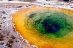 Earth's Oxygen-Rich Atmosphere Likely Happened through Blue-Green Algae Whiffs, Study Finds