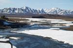 Black Carbon Input in Arctic Ocean is Likely to Increase with Global Warming