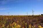 Google to Purchase Wind Power from EDF Renewable Energy