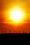 Strong Case for California Business to Shift to Solar Electricity