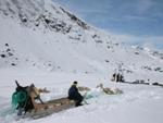 New Study Demonstrates Acute Temperature Sensitivity of Greenland Glaciers
