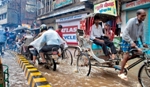 Continent-Scale Monsoons Gradually Adapt to Climate Change