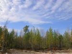 Carbon Dioxide Concentrations Increases as Plant Productivity Improves