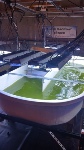 Algae Raceway Test Facility Solves Demand for Clean Energy