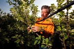 University of Arkansas Professor Participates in Ecological Farming Association Conference