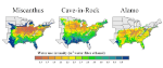 Researchers Find Bioenergy Crops Do Best in Regions with Higher Precipitation Rates