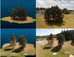 New Model Helps Predict Impact of Changing Climate on Forests over Thousands of Years