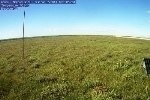 Grasslands Across North America to Face Higher Summer Temperatures and Widespread Drought