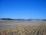 Wastewater Treatment Facilities Ineffective at Removing Certain Chemicals