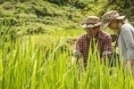 Results of GLUES Project Provide New Insights into Sustainable Land Use