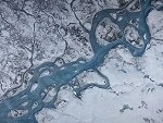 New Insights into Physical Processes Controlling Change in Reflectivity of Greenland Ice Sheet
