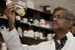 New Finding Holds Significance for Development of Superior Algae Strains for Biofuel Production