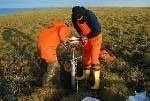 Study Reveals Ice Wedges are Thawing at Rapid Pace Throughout the Arctic