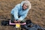 Study Findings Help Understand How Vulnerable the Arctic is to Climate Change