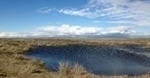 UW Researchers Use New Method to Map Hundreds of Wetlands