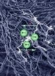 Carbonized Fungal Biomass-Manganese Oxide Mineral Composite Holds Potential for Energy Storage Devices
