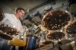 Researchers Explore Feasibility of Flexible Biogas Production