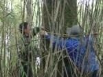 Study Shows China’s Sweeping Program to Restore Forests Across Country is Working