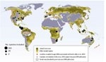 Better Stress Withstanding Trees More Resistant to Drought
