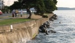 New Study Enlightens Impacts of Shoreline Armoring on Salish Sea Ecosystem