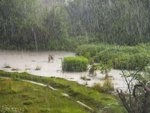 Raindrop Splash Triggers Release of Airborne Organic Particles