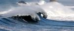 Ocean Bacteria Release Massive Amounts of Sulfur Gases that Influence Earth’s Climate