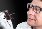 Australian Researchers Set New World Record for Solar Cell Efficiency